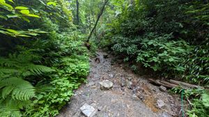 登山道(川)