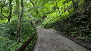 1号路の登り始め
